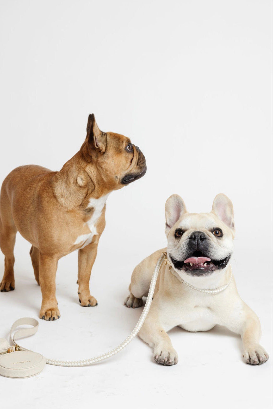 City Walk Kit (wholesale)