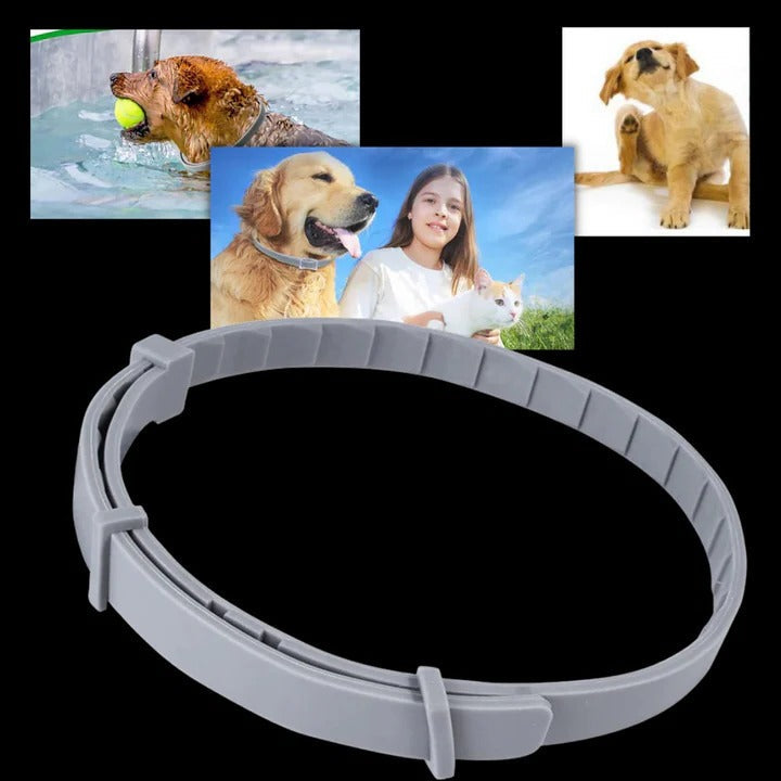 Flea and Tick Repellent Collar for Pets