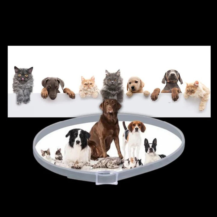 Flea and Tick Repellent Collar for Pets