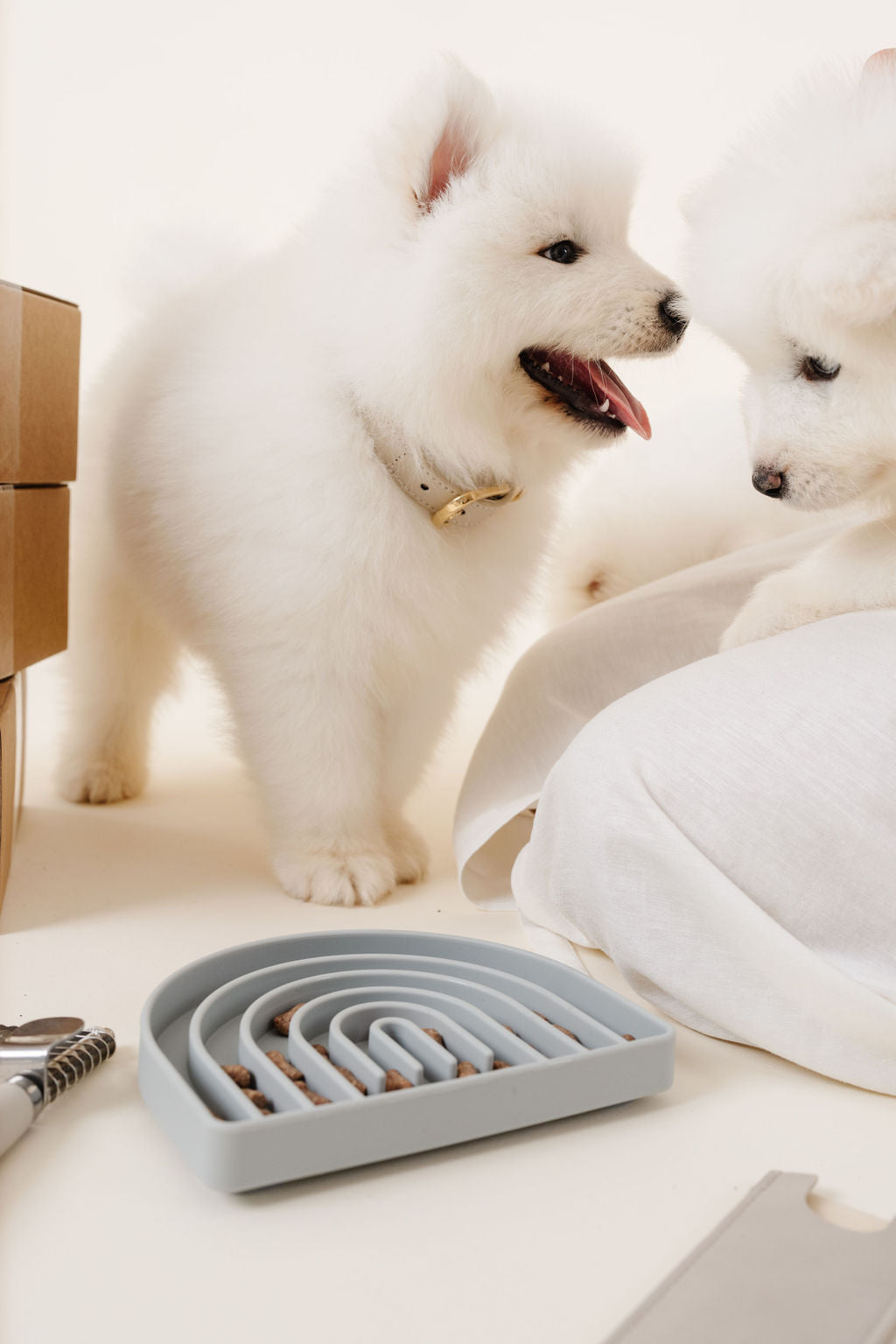 Rolled Collar (wholesale)