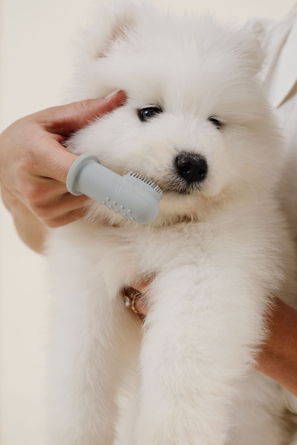 Puppy Breath Toothbrush (wholesale)